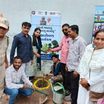 WhatsApp Image 2024-10-26 at 2.01.03 PM