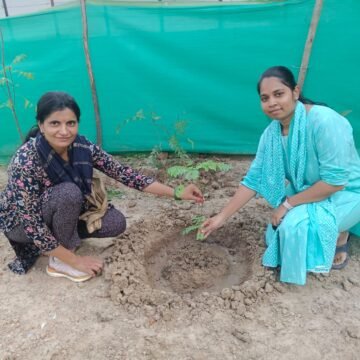 WhatsApp Image 2024-10-26 at 2.07.05 PM