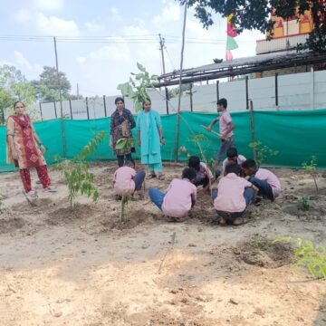 WhatsApp Image 2024-10-26 at 2.07.06 PM