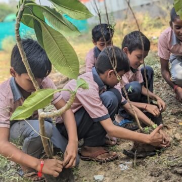 WhatsApp Image 2024-10-26 at 2.08.00 PM