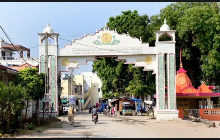 WhatsApp Image 2024-10-26 at 3.02.07 PM